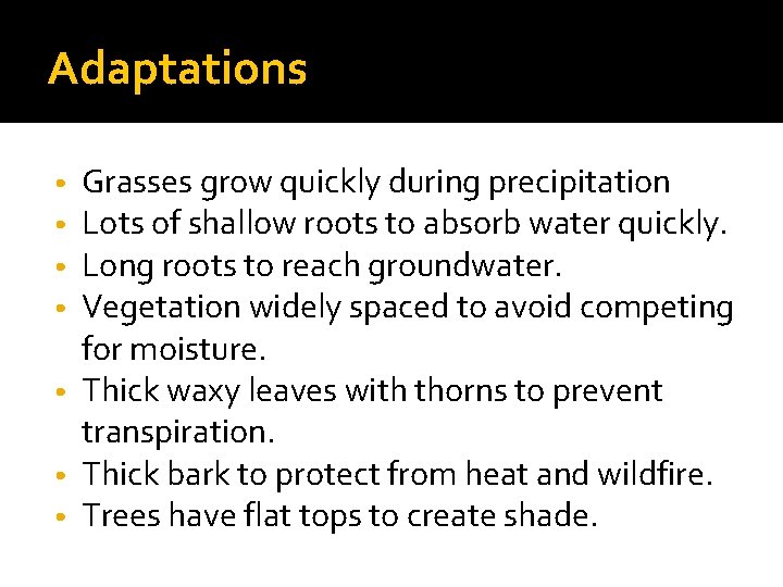 Adaptations Grasses grow quickly during precipitation Lots of shallow roots to absorb water quickly.