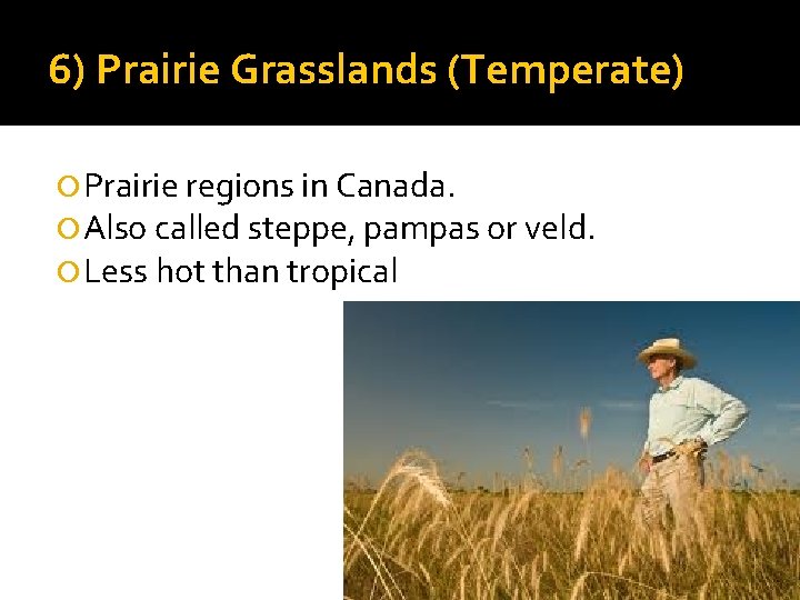6) Prairie Grasslands (Temperate) Prairie regions in Canada. Also called steppe, pampas or veld.