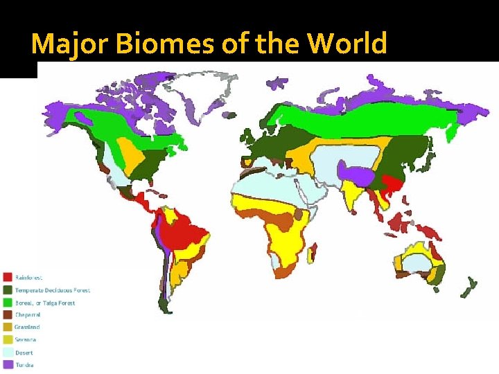 Major Biomes of the World 