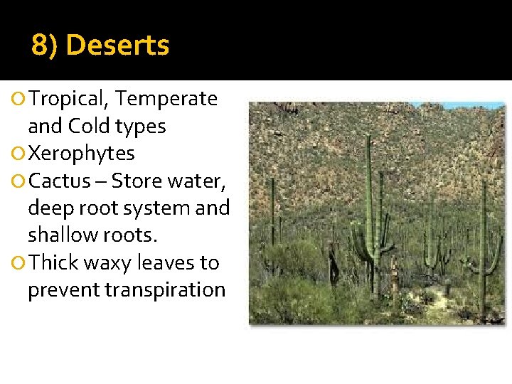 8) Deserts Tropical, Temperate and Cold types Xerophytes Cactus – Store water, deep root