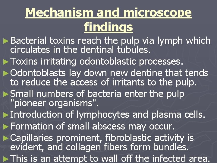 Mechanism and microscope findings ► Bacterial toxins reach the pulp via lymph which circulates