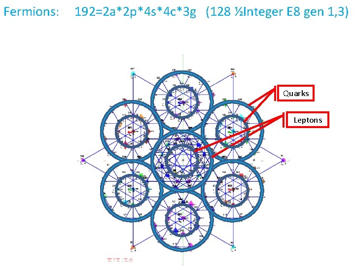 Fermions: 192=2 a*2 p*4 s*4 c*3 g (128 ½Integer E 8 gen 1, 3)