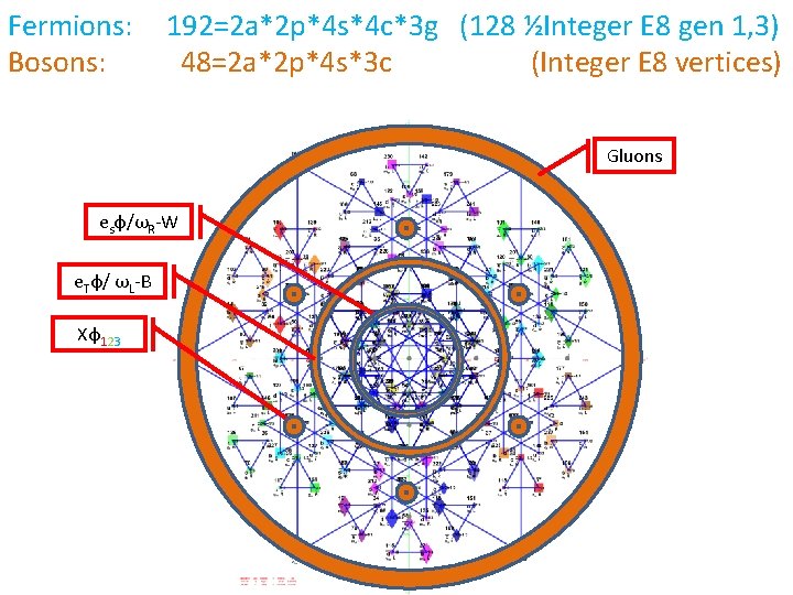 Fermions: Bosons: 192=2 a*2 p*4 s*4 c*3 g (128 ½Integer E 8 gen 1,