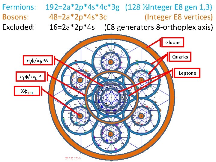 Fermions: Bosons: Excluded: 192=2 a*2 p*4 s*4 c*3 g (128 ½Integer E 8 gen