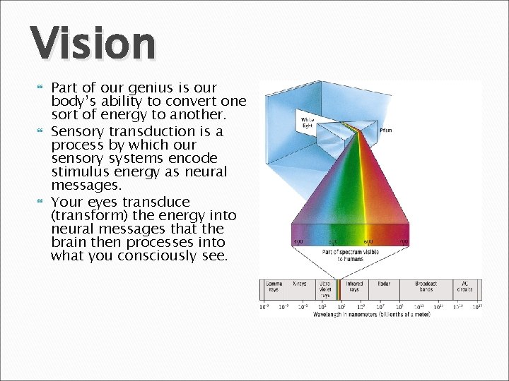 Vision Part of our genius is our body’s ability to convert one sort of