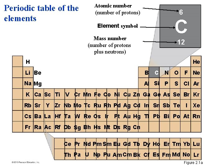 Periodic table of the elements Atomic number (number of protons) 6 C Element symbol