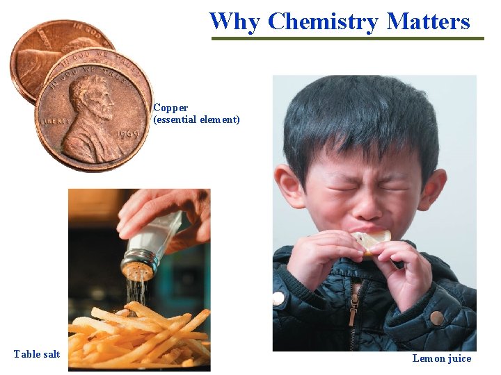 Why Chemistry Matters Copper (essential element) Table salt Lemon juice 