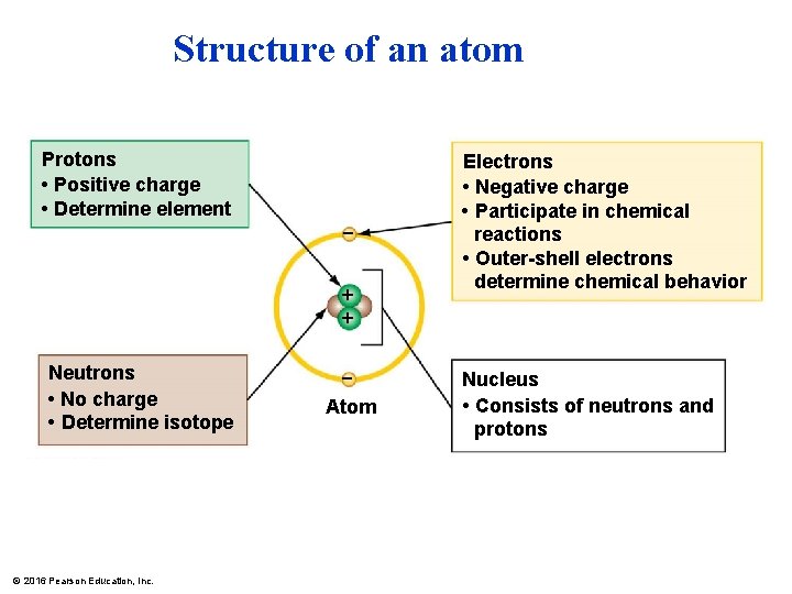 Structure of an atom Protons • Positive charge • Determine element Neutrons • No