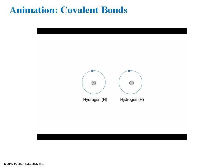 Animation: Covalent Bonds © 2016 Pearson Education, Inc. 