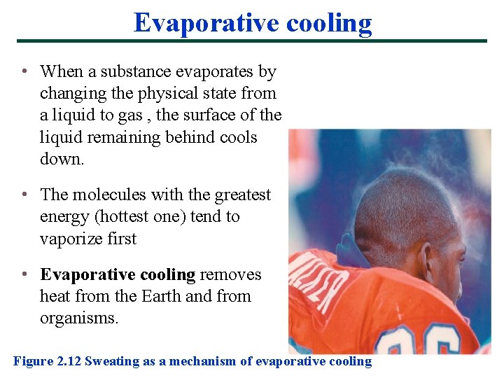 Evaporative cooling • When a substance evaporates by changing the physical state from a