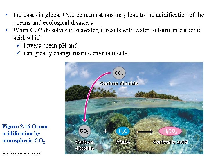  • Increases in global CO 2 concentrations may lead to the acidification of