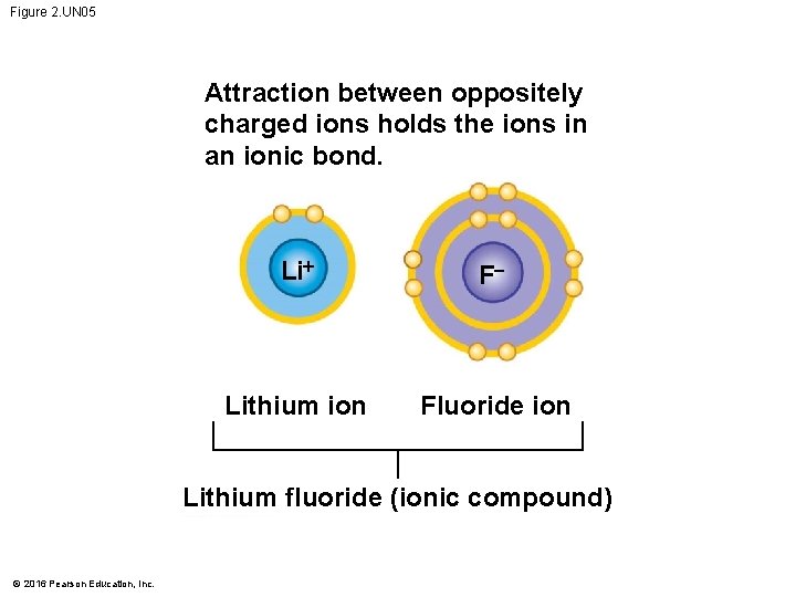 Figure 2. UN 05 Attraction between oppositely charged ions holds the ions in an