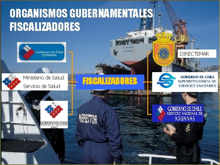 ORGANISMOS GUBERNAMENTALES FISCALIZADORES DIRECTEMAR Ministerio de Salud Servicio de Salud FISCALIZADORES 