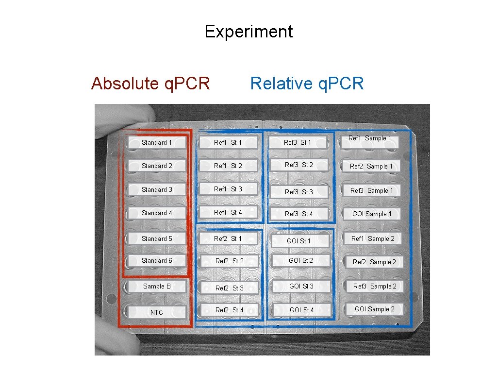 Experiment Absolute q. PCR Relative q. PCR Ref 1 Sample 1 Standard 1 Ref