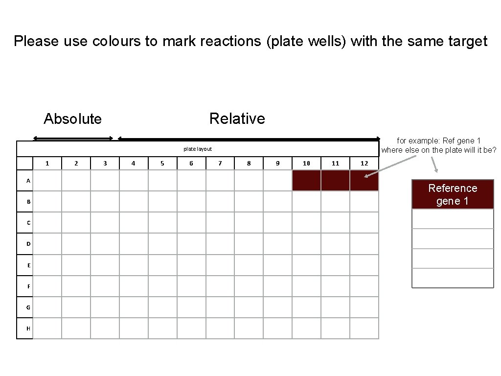 Please use colours to mark reactions (plate wells) with the same target Relative Absolute