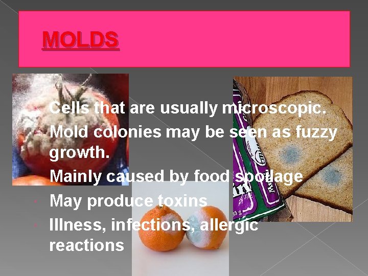 MOLDS Cells that are usually microscopic. Mold colonies may be seen as fuzzy growth.