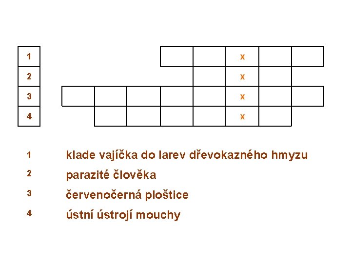 1 x 2 x 3 x 4 x 1 klade vajíčka do larev dřevokazného