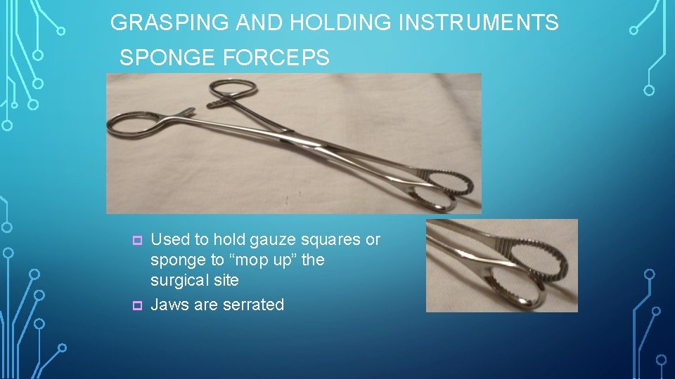 GRASPING AND HOLDING INSTRUMENTS SPONGE FORCEPS p p Used to hold gauze squares or
