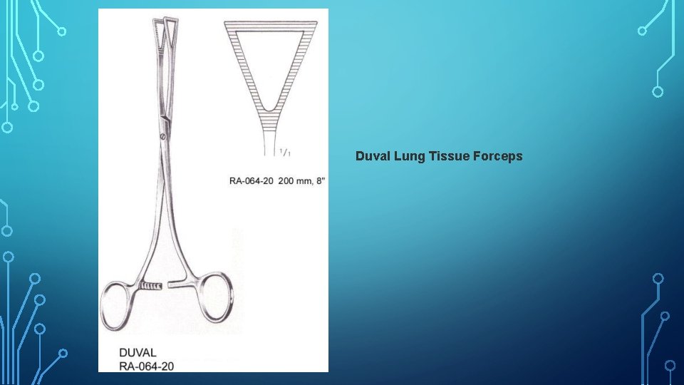 Duval Lung Tissue Forceps 