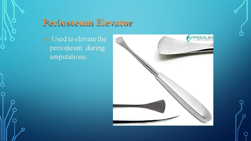 Periosteum Elevator Used to elevate the periosteum during amputations. 