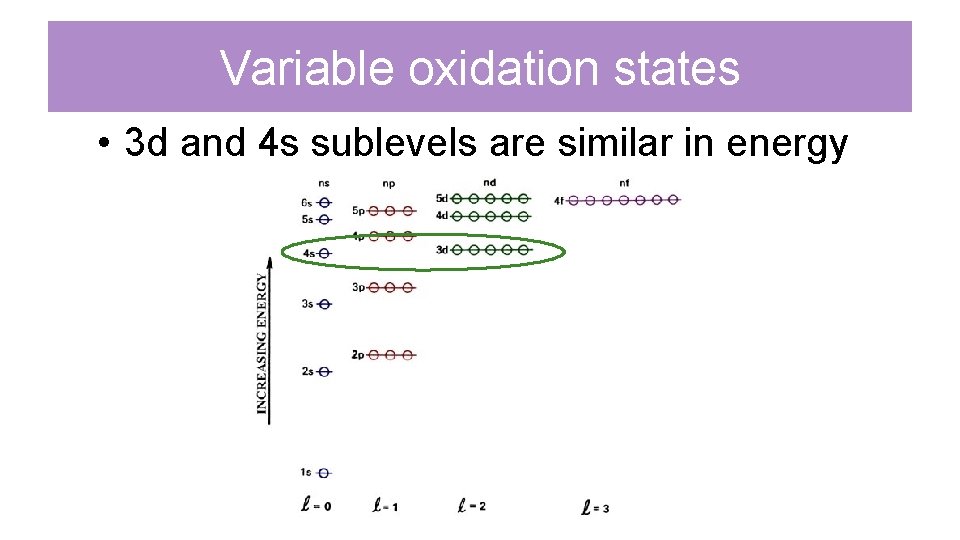 Variable oxidation states • 3 d and 4 s sublevels are similar in energy