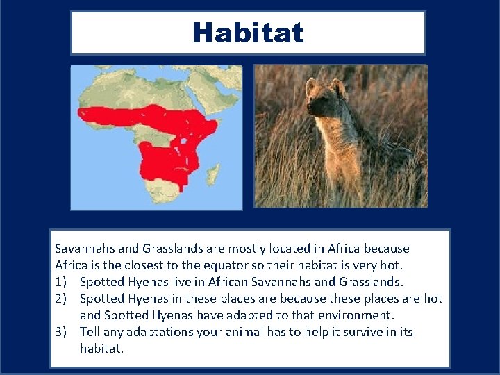 Habitat Map showing where your animal lives Picture showing your animal in its habitat.