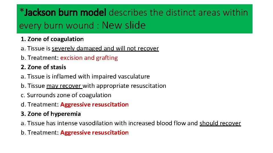 Acute Burn management Dr Saleh Abualhaj Plastic Surgeon