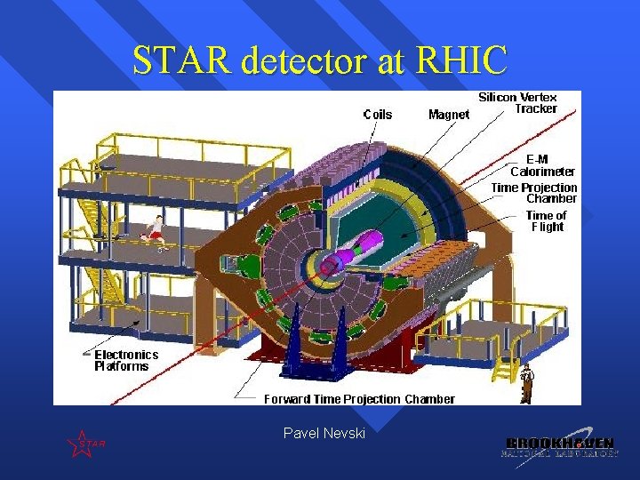 STAR detector at RHIC Pavel Nevski 