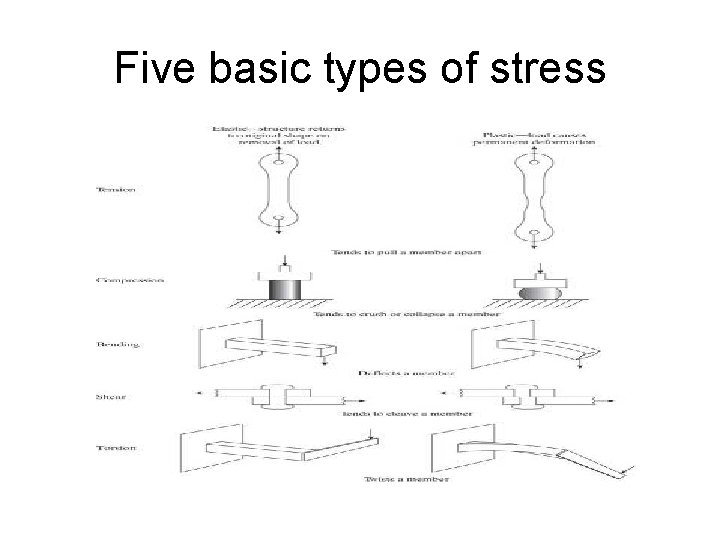 Five basic types of stress 