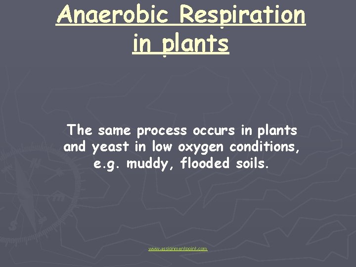 Anaerobic Respiration in animals and Plants www assignmentpoint