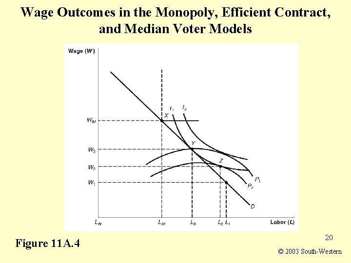 Wage Outcomes in the Monopoly, Efficient Contract, and Median Voter Models Figure 11 A.