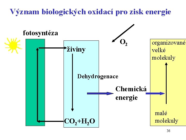 Význam biologických oxidací pro zisk energie fotosyntéza O 2 živiny organizované velké molekuly Dehydrogenace