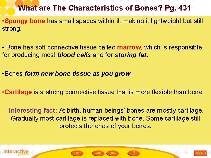 What are The Characteristics of Bones? Pg. 431 • Spongy bone has small spaces