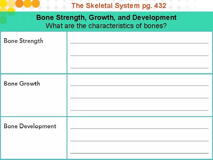 The Skeletal System pg. 432 Bone Strength, Growth, and Development What are the characteristics