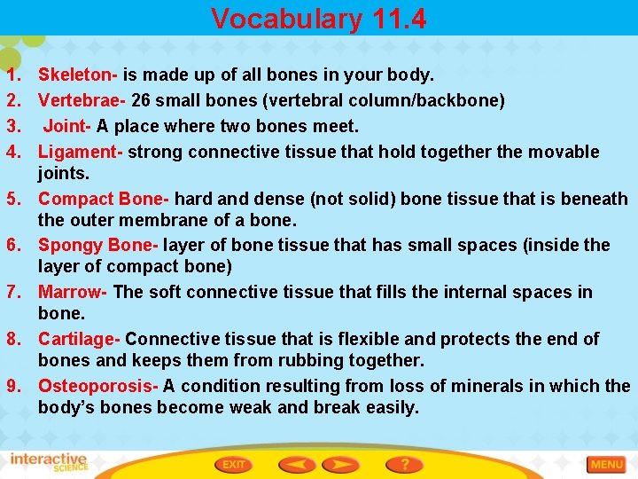 Vocabulary 11. 4 1. Skeleton- is made up of all bones in your body.