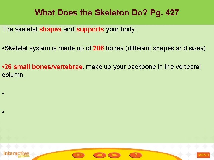 What Does the Skeleton Do? Pg. 427 The skeletal shapes and supports your body.