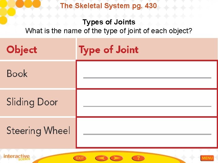The Skeletal System pg. 430 Types of Joints What is the name of the