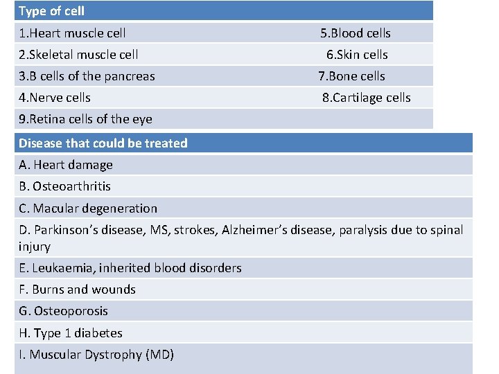 Type of cell 1. Heart muscle cell 2. Skeletal muscle cell 3. B cells