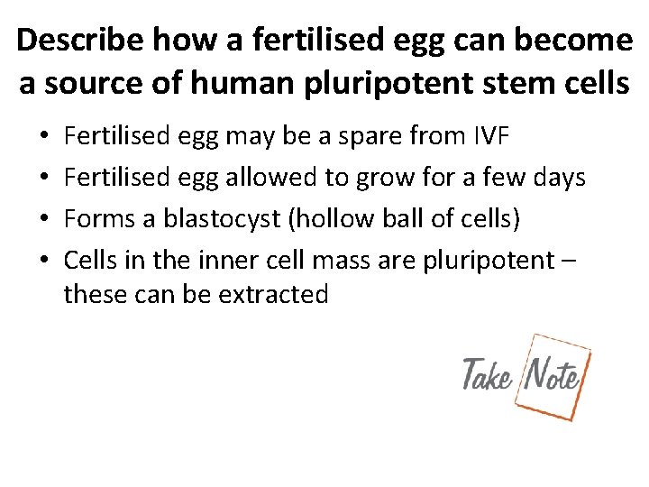Describe how a fertilised egg can become a source of human pluripotent stem cells
