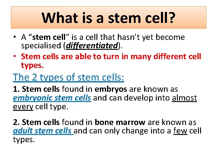 What is a stem cell? • A “stem cell” is a cell that hasn’t