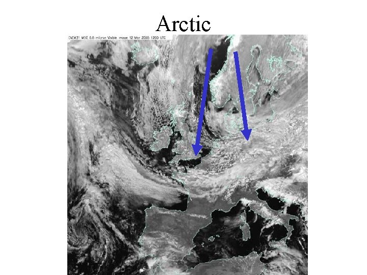 Arctic 