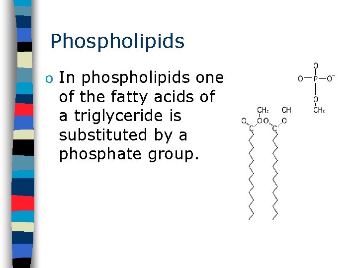 Phospholipids o In phospholipids one of the fatty acids of a triglyceride is substituted