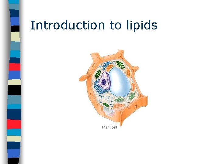 Introduction to lipids 