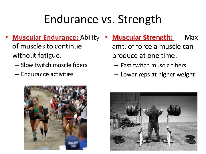 Endurance vs. Strength • Muscular Endurance: Ability • Muscular Strength: Max of muscles to