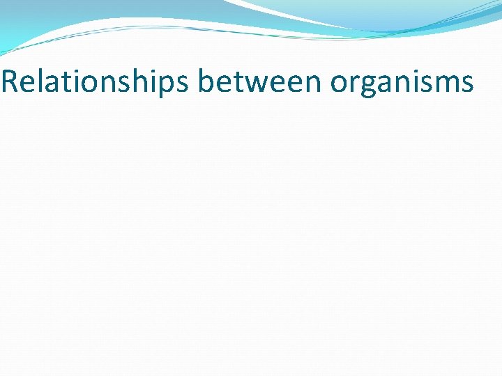 Relationships between organisms Relationships between organisms