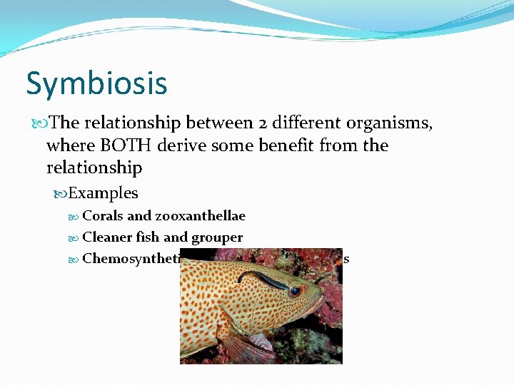 Symbiosis The relationship between 2 different organisms, where BOTH derive some benefit from the