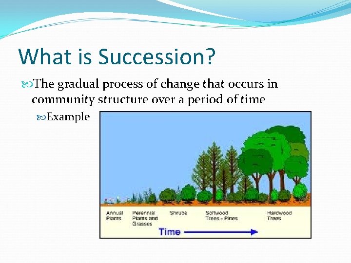 What is Succession? The gradual process of change that occurs in community structure over What is Succession? The gradual process of change that occurs in community structure over