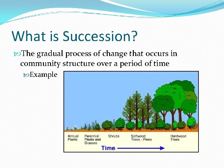 What is Succession? The gradual process of change that occurs in community structure over