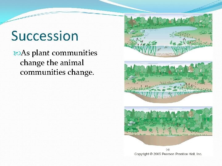 Succession As plant communities change the animal communities change. 