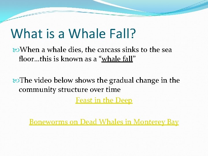 What is a Whale Fall? When a whale dies, the carcass sinks to the